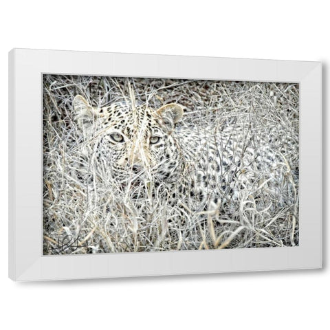 Leopard White Modern Wood Framed Art Print by Sobol, Helene