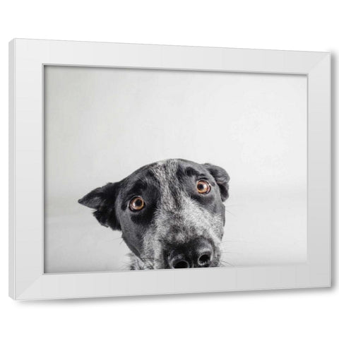 Blue Zuck White Modern Wood Framed Art Print by Sabo, Susan