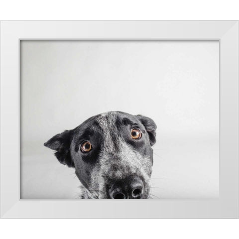 Blue Zuck White Modern Wood Framed Art Print by Sabo, Susan