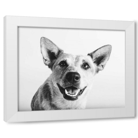 Irma White Modern Wood Framed Art Print by Sabo, Susan