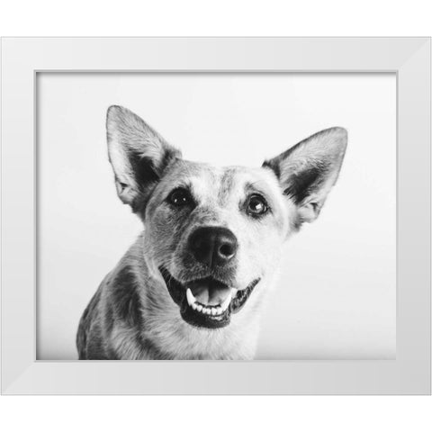 Irma White Modern Wood Framed Art Print by Sabo, Susan