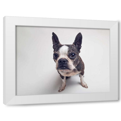 Norton Moses White Modern Wood Framed Art Print by Sabo, Susan