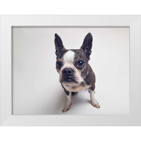 Norton Moses White Modern Wood Framed Art Print by Sabo, Susan