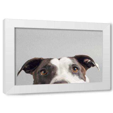 Ruby White Modern Wood Framed Art Print by Sabo, Susan