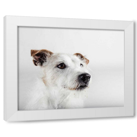 Spike Zuck White Modern Wood Framed Art Print by Sabo, Susan