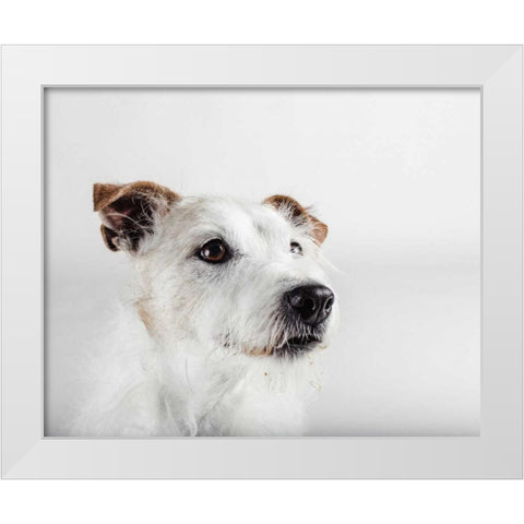 Spike Zuck White Modern Wood Framed Art Print by Sabo, Susan