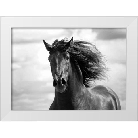 Breath of Life White Modern Wood Framed Art Print by Stromberg, Tony