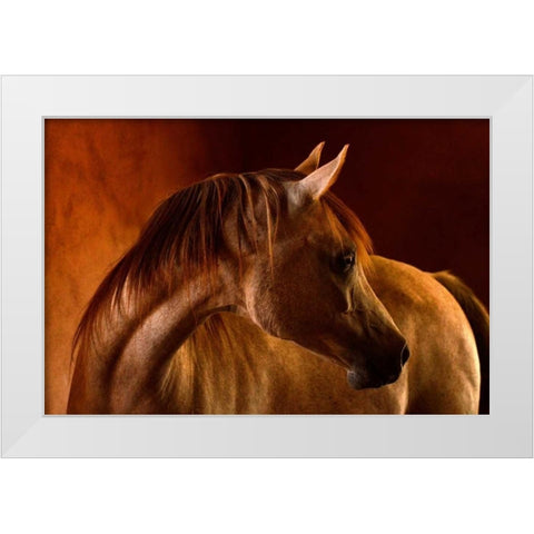 Clay White Modern Wood Framed Art Print by Stromberg, Tony