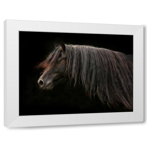 Ebony White Modern Wood Framed Art Print by Stromberg, Tony