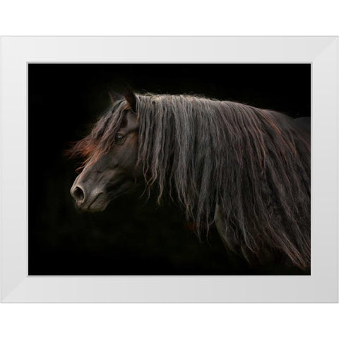 Ebony White Modern Wood Framed Art Print by Stromberg, Tony