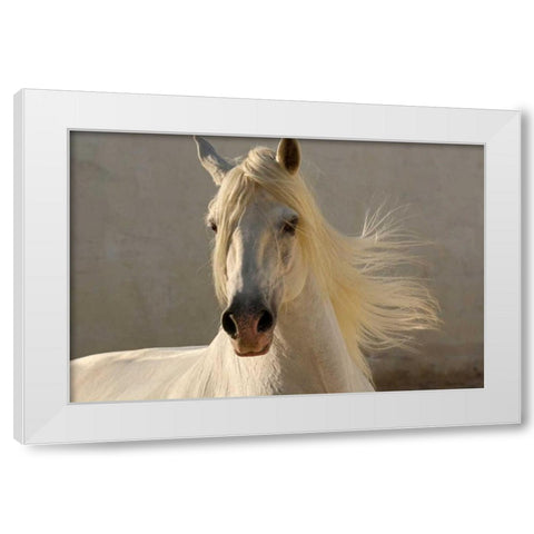 Elegance White Modern Wood Framed Art Print by Stromberg, Tony