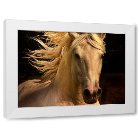 Kieto II White Modern Wood Framed Art Print by Stromberg, Tony