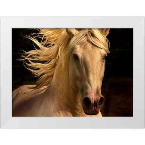 Kieto II White Modern Wood Framed Art Print by Stromberg, Tony