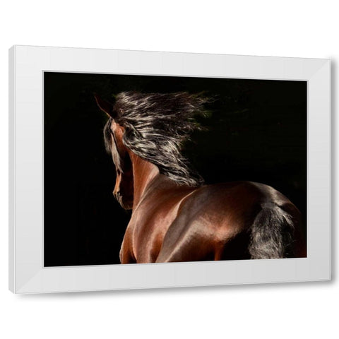 Reflection White Modern Wood Framed Art Print by Stromberg, Tony