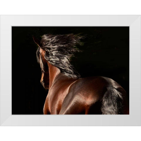 Reflection White Modern Wood Framed Art Print by Stromberg, Tony