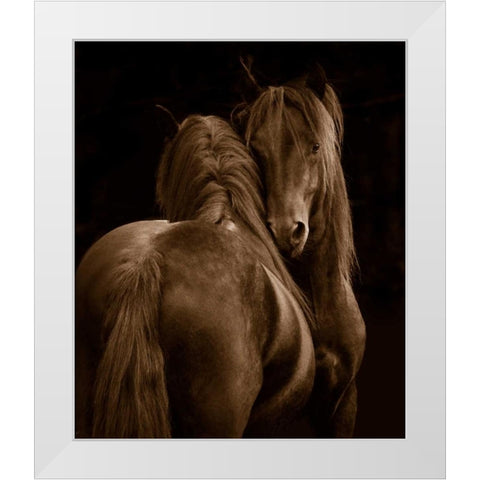 Tenderness I White Modern Wood Framed Art Print by Stromberg, Tony