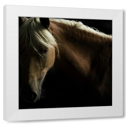 Spirit Horse White Modern Wood Framed Art Print by Stromberg, Tony