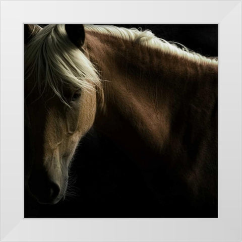 Spirit Horse White Modern Wood Framed Art Print by Stromberg, Tony