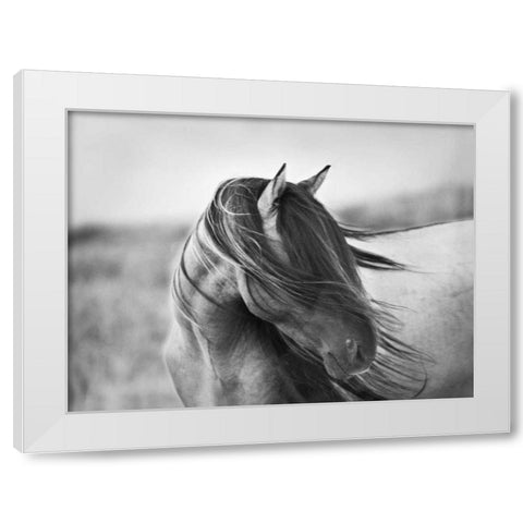 Fierce Grace White Modern Wood Framed Art Print by Stromberg, Tony