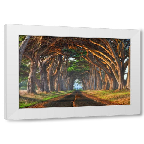 Tunnel of Light White Modern Wood Framed Art Print by Sie, Lee
