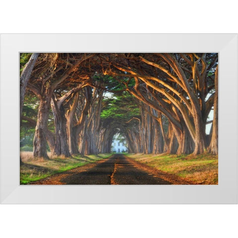 Tunnel of Light White Modern Wood Framed Art Print by Sie, Lee