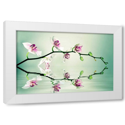 Zen White Modern Wood Framed Art Print by Sie, Lee