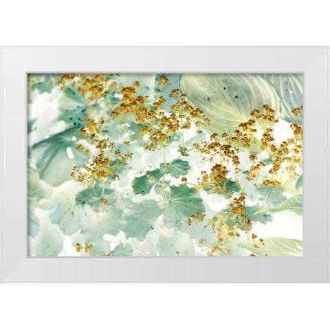 Golden Ladys Mantle White Modern Wood Framed Art Print by Stalus, Judy