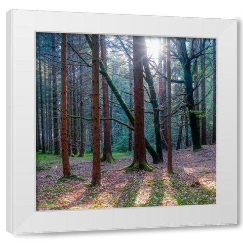 Lean On Me White Modern Wood Framed Art Print by Schneidersmann, Anne