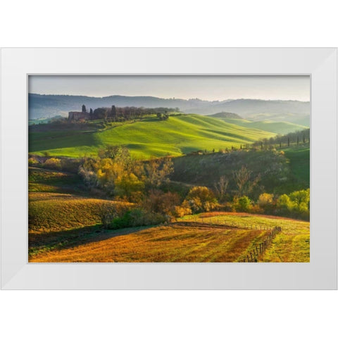 Light Invasion White Modern Wood Framed Art Print by Schneidersmann, Anne