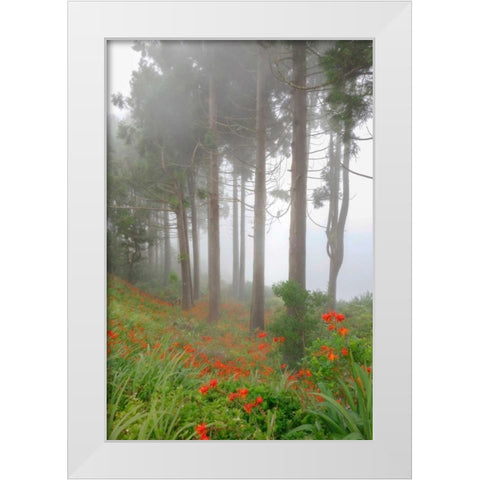 Forest of The Flowers White Modern Wood Framed Art Print by Schneidersmann, Anne