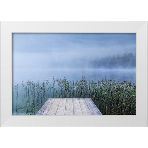 Surrounded White Modern Wood Framed Art Print by Schneidersmann, Anne