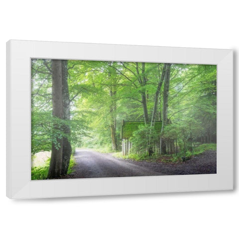 Frenzy Green White Modern Wood Framed Art Print by Schneidersmann, Anne