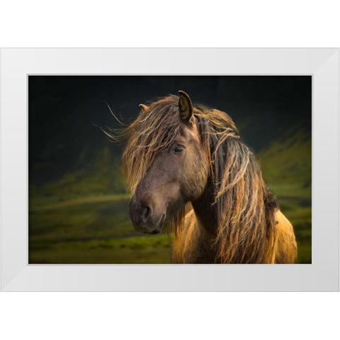 Born To Be Wild White Modern Wood Framed Art Print by Schneidersmann, Anne