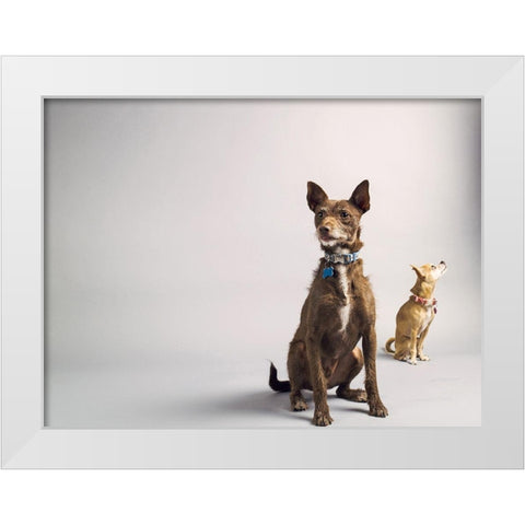 Nope White Modern Wood Framed Art Print by Sabo, Susan