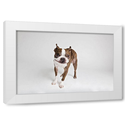 Kevin White Modern Wood Framed Art Print by Sabo, Susan