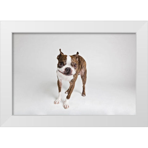 Kevin White Modern Wood Framed Art Print by Sabo, Susan