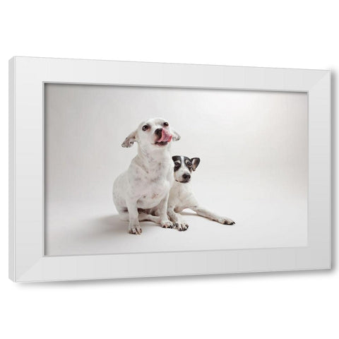 Mouse and Jack White Modern Wood Framed Art Print by Sabo, Susan