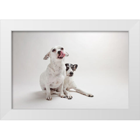 Mouse and Jack White Modern Wood Framed Art Print by Sabo, Susan