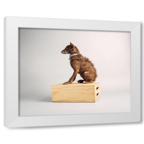 Side Eye White Modern Wood Framed Art Print by Sabo, Susan