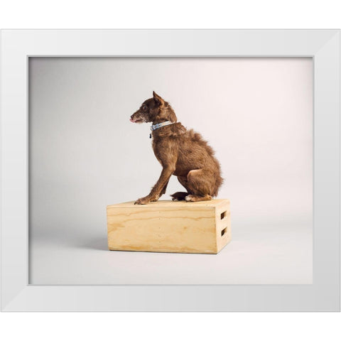 Side Eye White Modern Wood Framed Art Print by Sabo, Susan