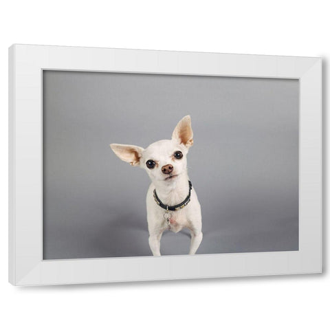 Psssstâ€¦ White Modern Wood Framed Art Print by Sabo, Susan