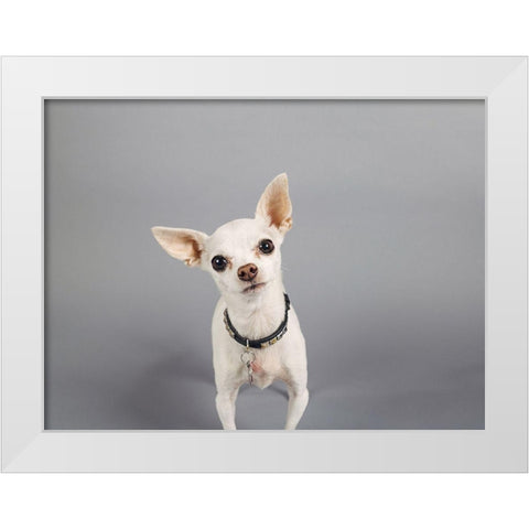 Psssstâ€¦ White Modern Wood Framed Art Print by Sabo, Susan