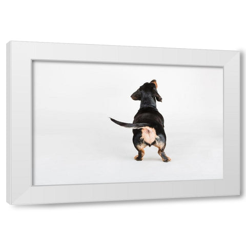The Butt White Modern Wood Framed Art Print by Sabo, Susan