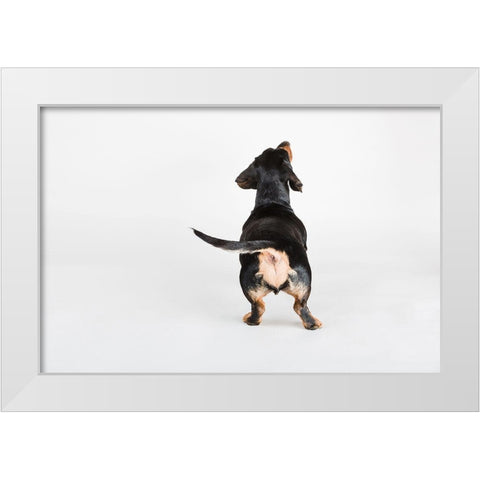 The Butt White Modern Wood Framed Art Print by Sabo, Susan