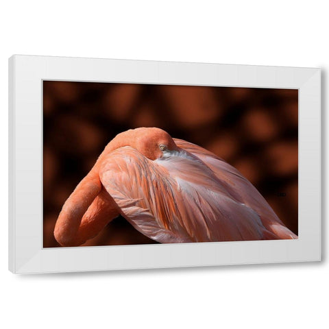 Flamingo White Modern Wood Framed Art Print by Spears, Don