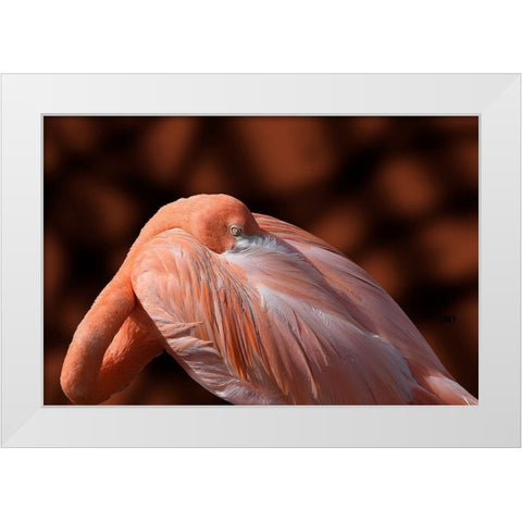 Flamingo White Modern Wood Framed Art Print by Spears, Don