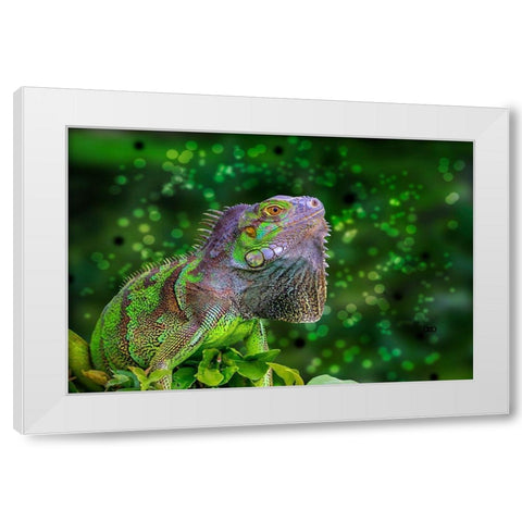 Green Iguana White Modern Wood Framed Art Print by Spears, Don