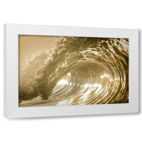 Auricomus White Modern Wood Framed Art Print by Sieczkiewicz, David A.
