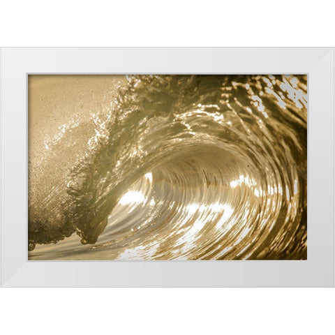Auricomus White Modern Wood Framed Art Print by Sieczkiewicz, David A.