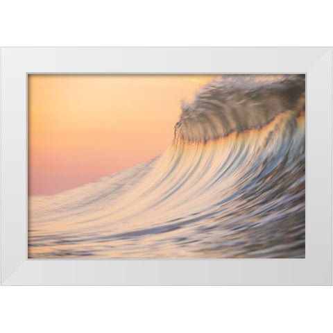 Sherbert White Modern Wood Framed Art Print by Sieczkiewicz, David A.